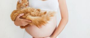 Desmistificando a Toxoplasmose: O Que Você Realmente Precisa Saber