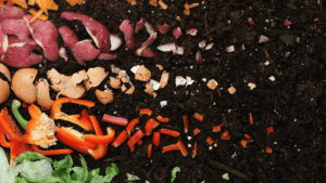 O que é Compostagem e Como Começar em Casa: Guia Simples para Iniciantes