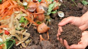 O que é Compostagem e Como Começar em Casa: Guia Simples para Iniciantes